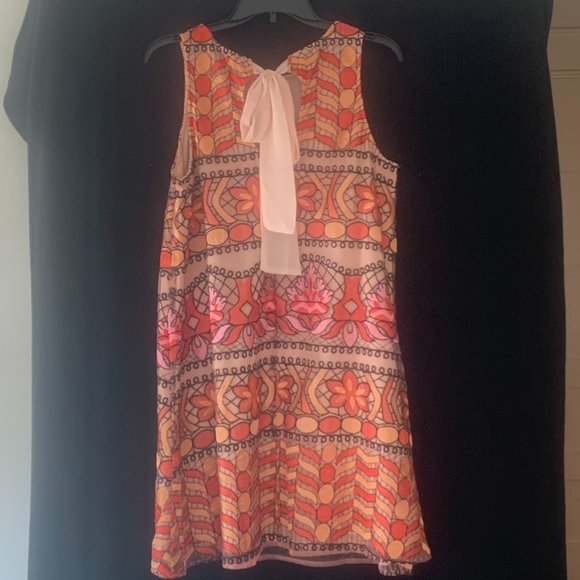 Festive Dress - Picture 3 of 4